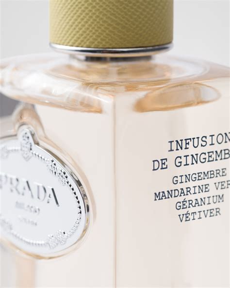 prada ginger perfume|Prada Infusion De Gingembre Edp 100 Ml.